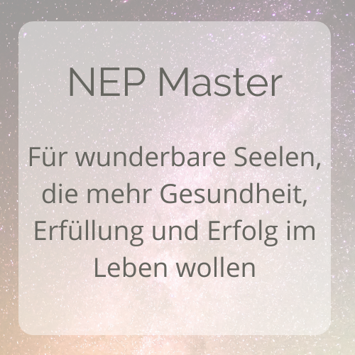 Neuro-Energetic-Programming Zertifizierungsprogramm