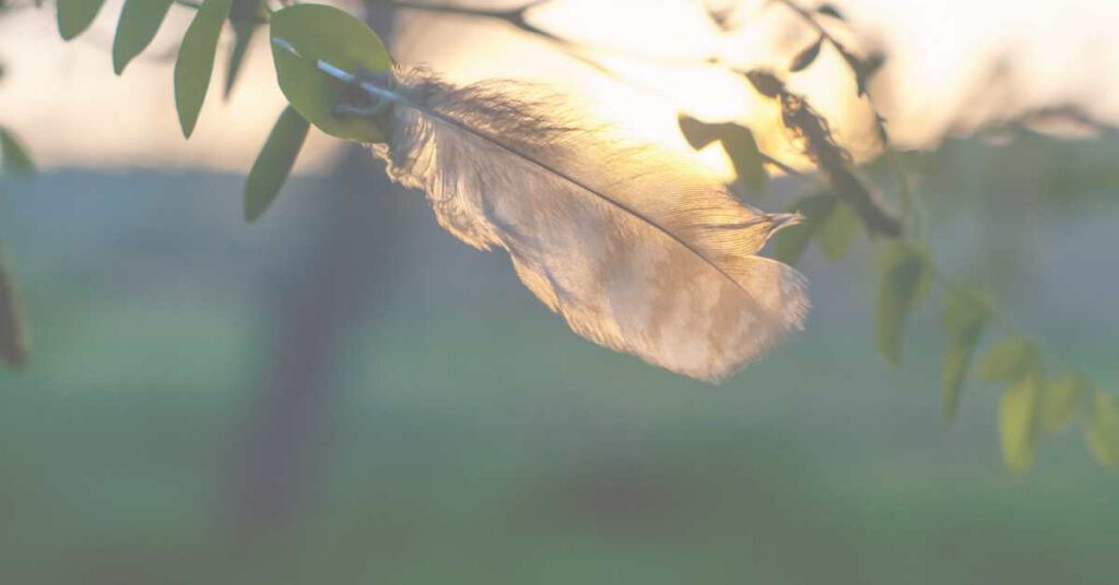 Was wollte ich wirklich - bevor es sich nach Müssen anfühlte? Zurück zu deinem Herzensziel