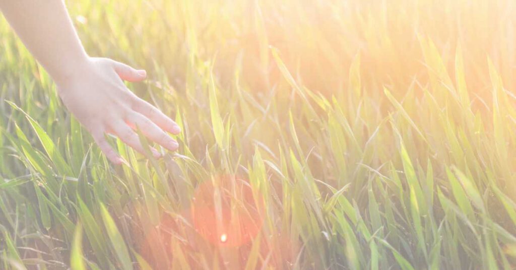 Den eigenen Weg finden - Fühlen lernen