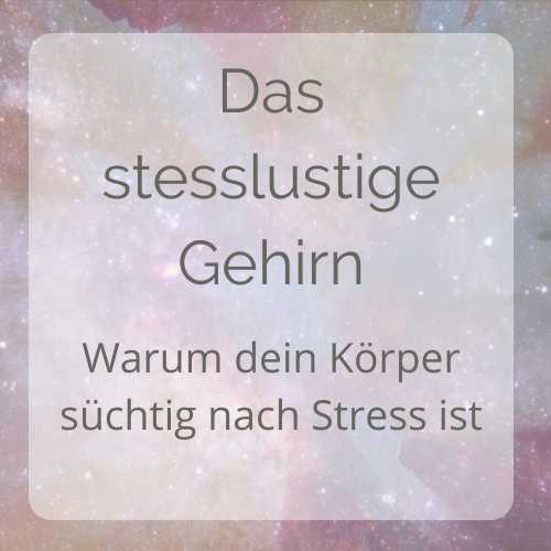 Free Teaching: Das stresslustige Gehirn